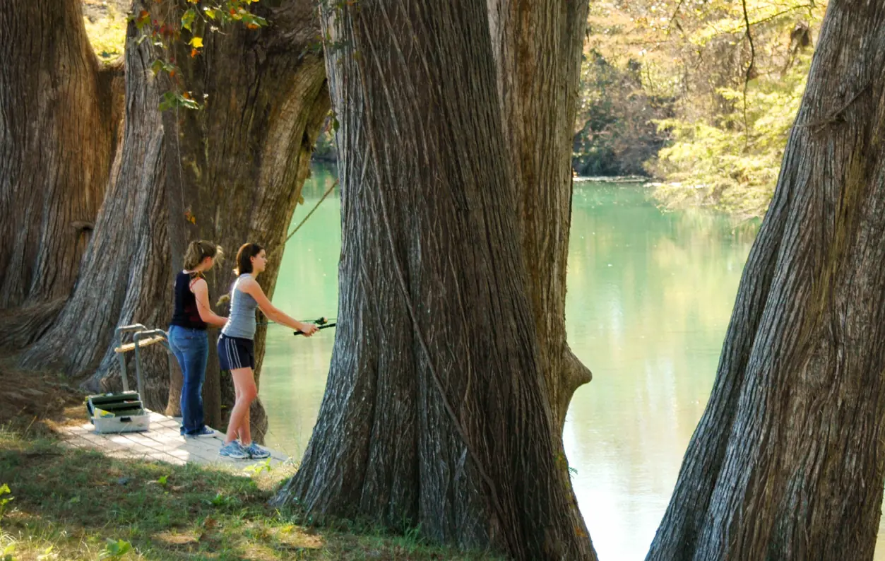 Two people fishing on the bank of a river surrounded by large trees.
